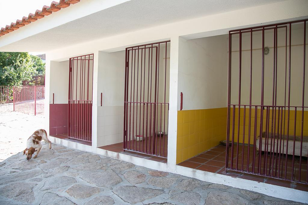 Bed and Breakfast Solar Dos Almeidas - Turismo De Habitacao Транкозу Екстер'єр фото